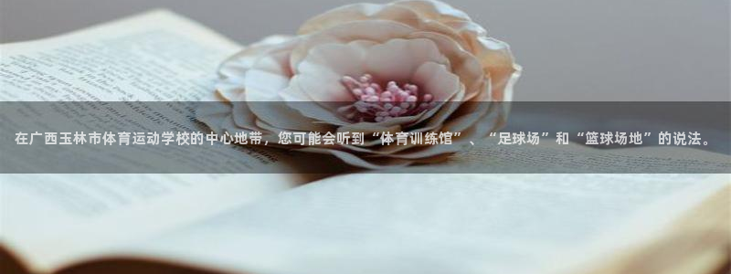 米兰体育平台