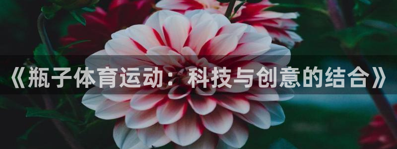 米兰体育官方下载入口