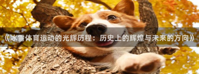 米兰体育最新版下载