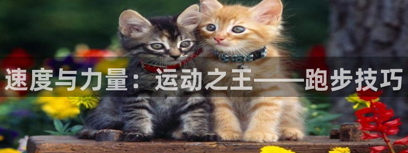 米兰体育官网