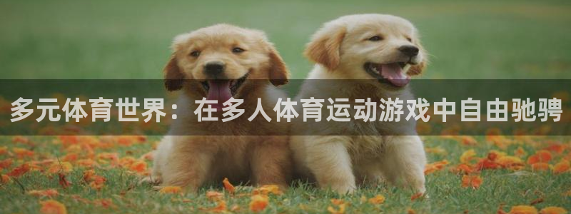 米兰体育综合官网
