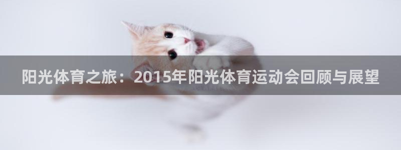 米兰体育官网：阳光体育之旅：2015年阳光体育运动会回顾与展望